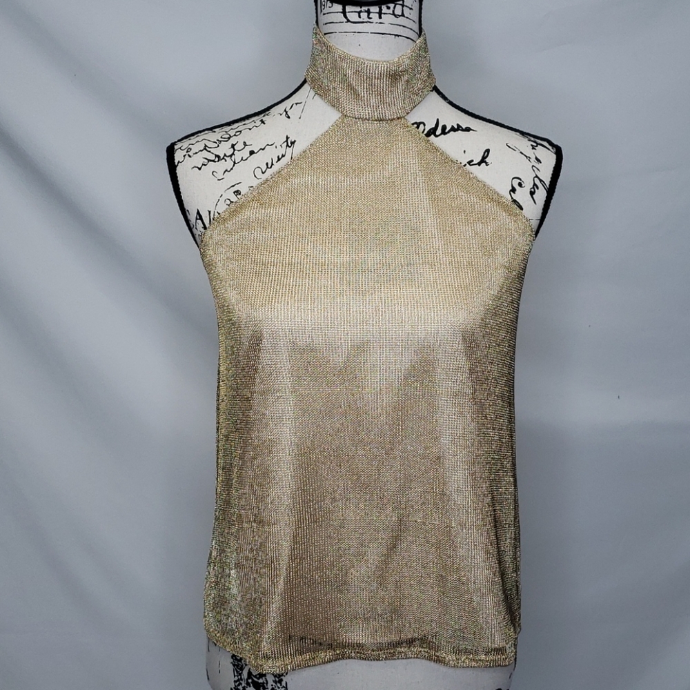 Show Me Your MuMu Alessandra Gold Choker Top
